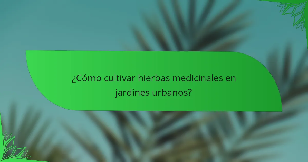 ¿Cómo cultivar hierbas medicinales en jardines urbanos?