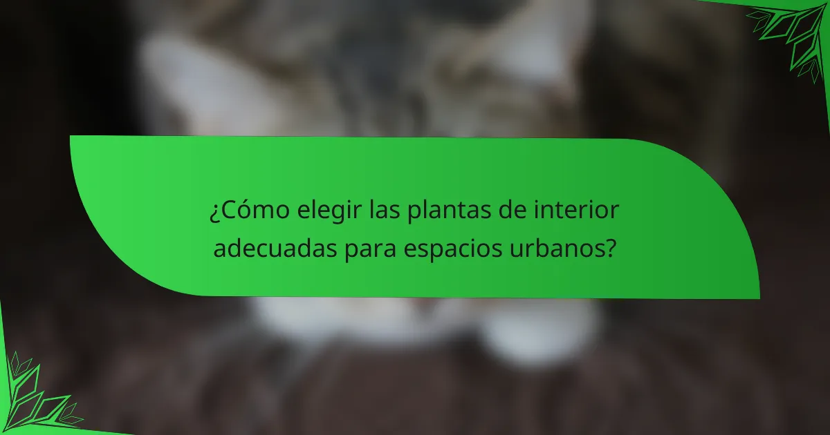 ¿Cómo elegir las plantas de interior adecuadas para espacios urbanos?