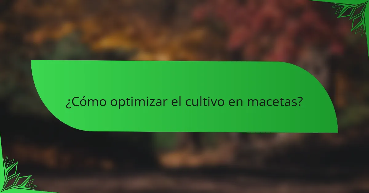 ¿Cómo optimizar el cultivo en macetas?