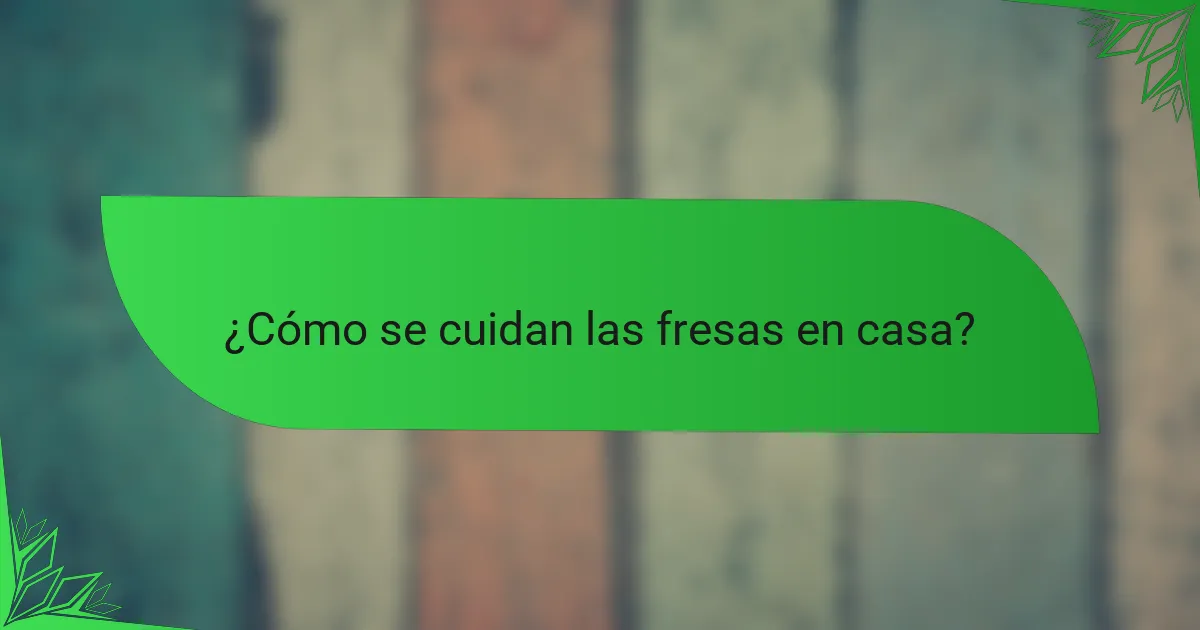 ¿Cómo se cuidan las fresas en casa?