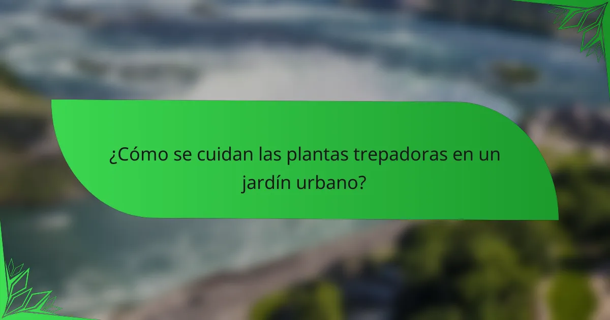 ¿Cómo se cuidan las plantas trepadoras en un jardín urbano?