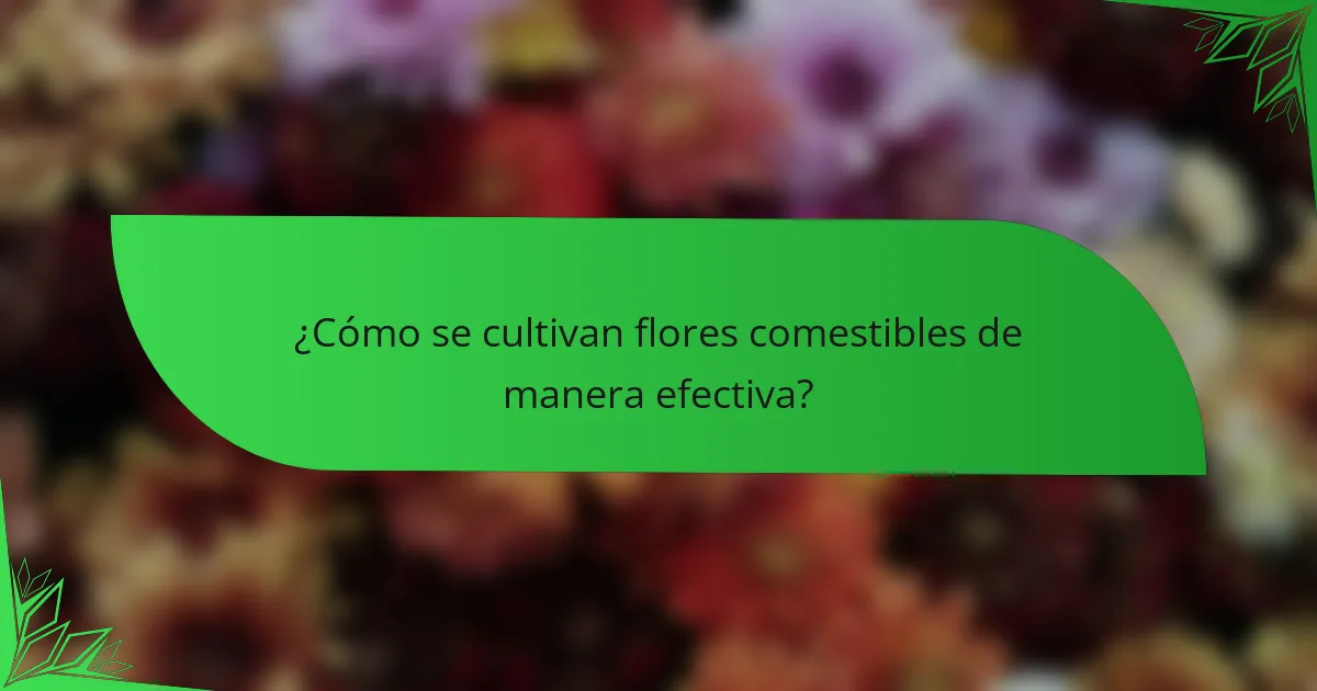 ¿Cómo se cultivan flores comestibles de manera efectiva?