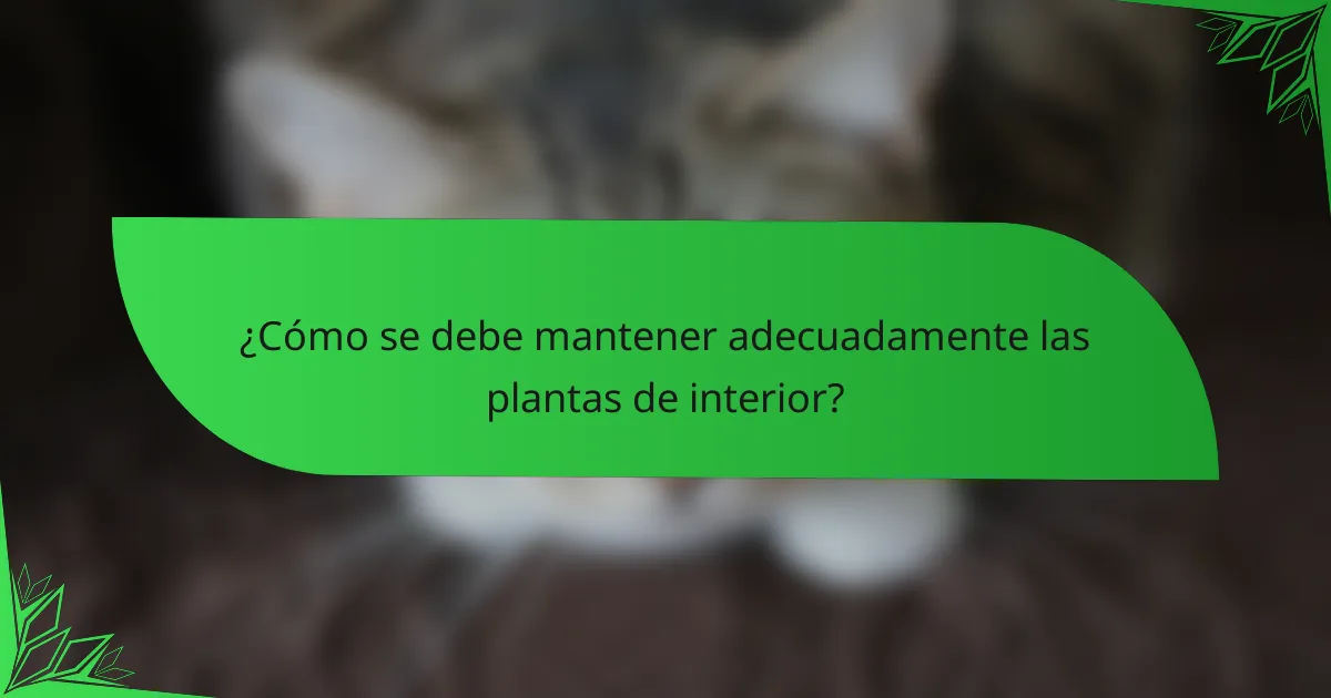 ¿Cómo se debe mantener adecuadamente las plantas de interior?