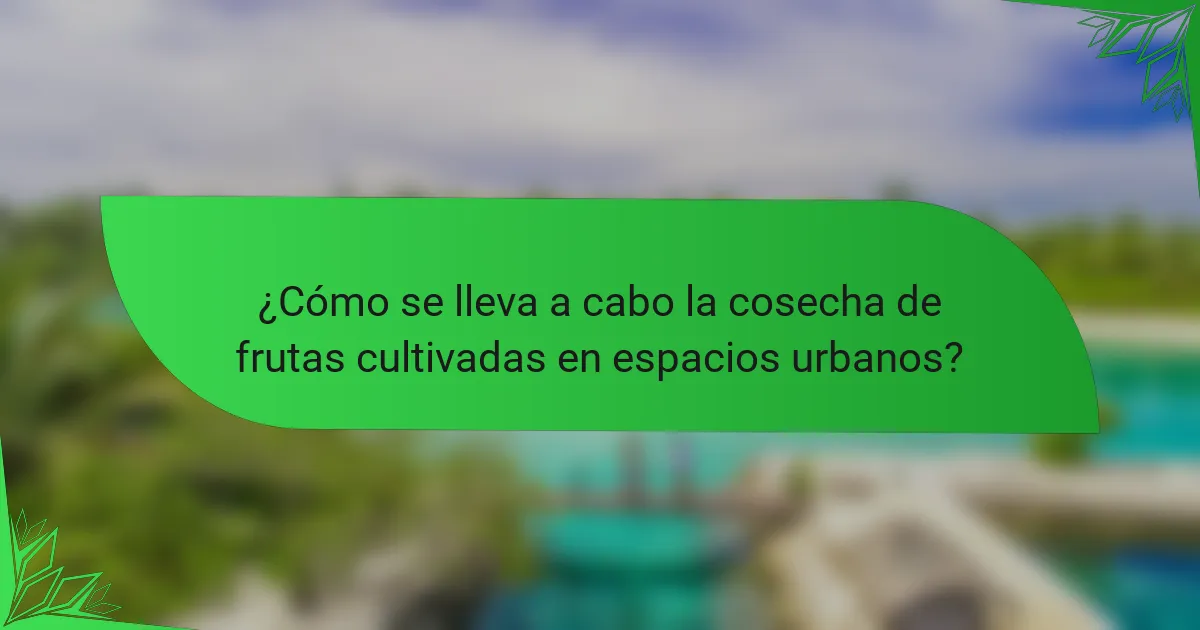 ¿Cómo se lleva a cabo la cosecha de frutas cultivadas en espacios urbanos?