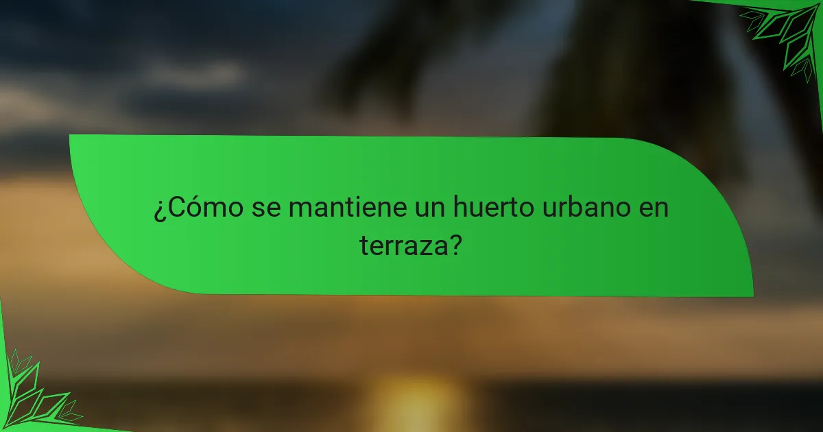 ¿Cómo se mantiene un huerto urbano en terraza?