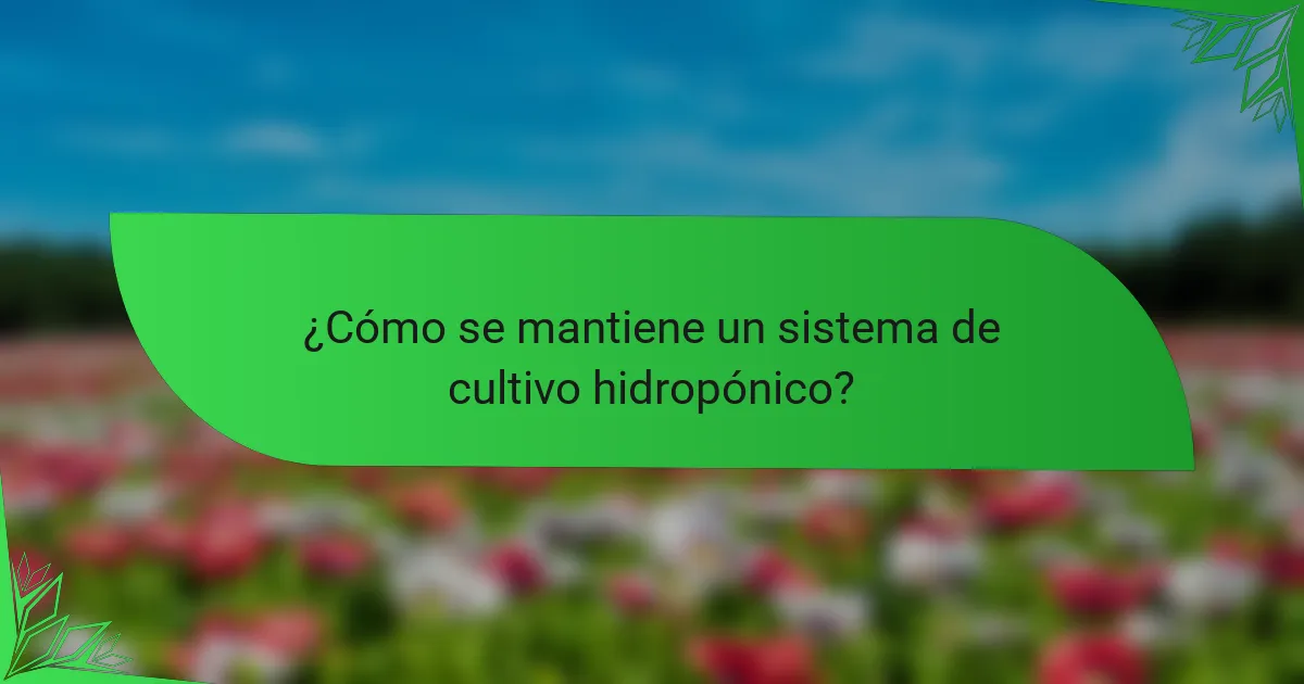 ¿Cómo se mantiene un sistema de cultivo hidropónico?