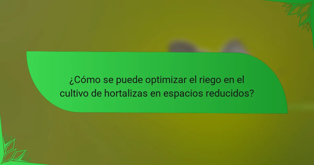 ¿Cómo se puede optimizar el riego en el cultivo de hortalizas en espacios reducidos?