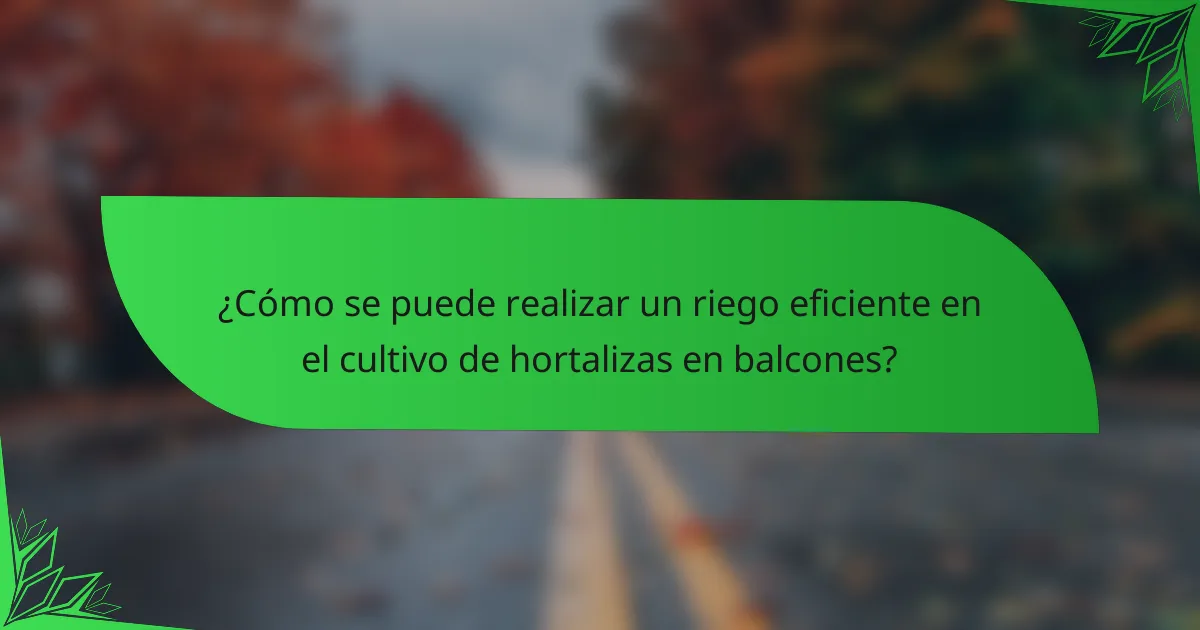 ¿Cómo se puede realizar un riego eficiente en el cultivo de hortalizas en balcones?