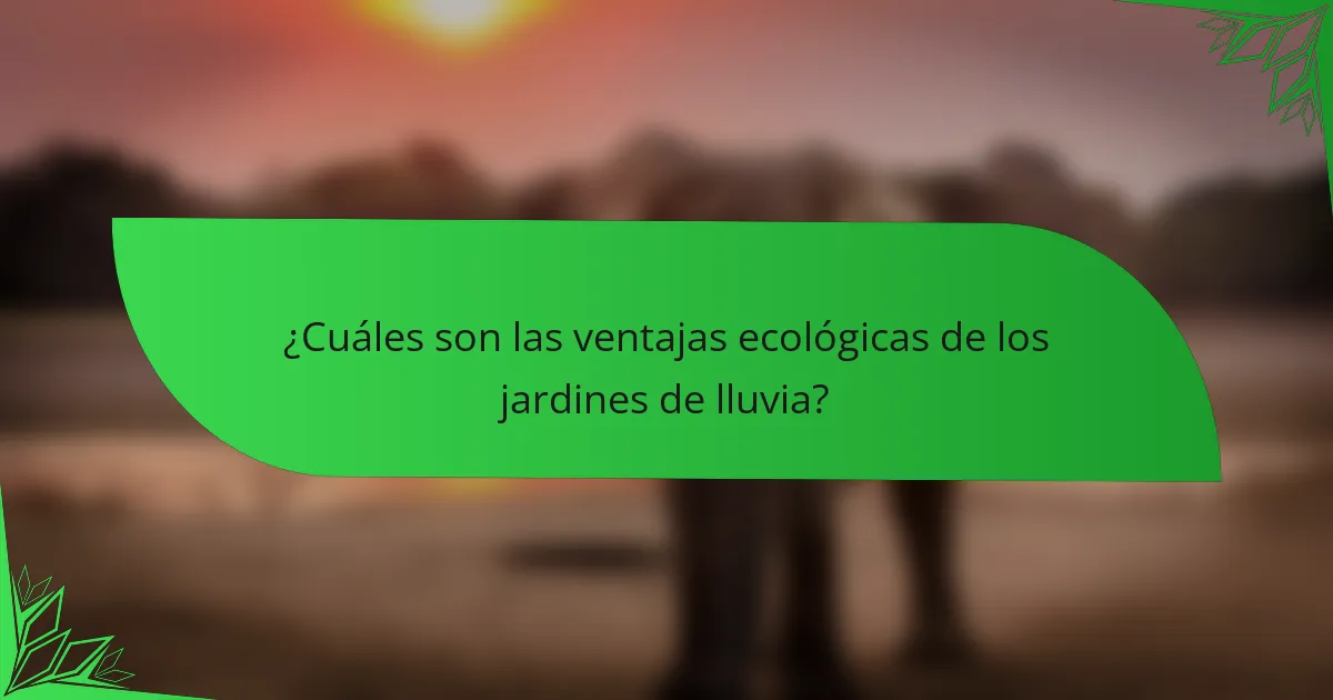 ¿Cuáles son las ventajas ecológicas de los jardines de lluvia?
