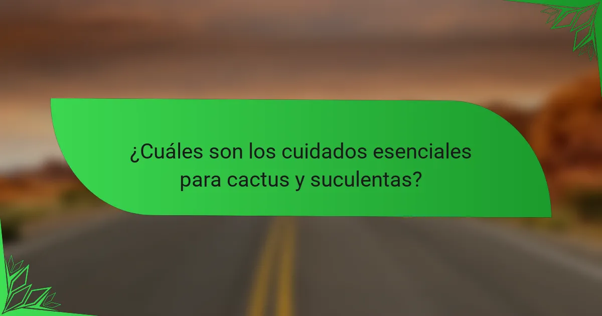 ¿Cuáles son los cuidados esenciales para cactus y suculentas?
