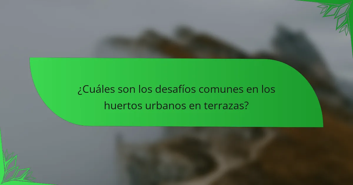 ¿Cuáles son los desafíos comunes en los huertos urbanos en terrazas?