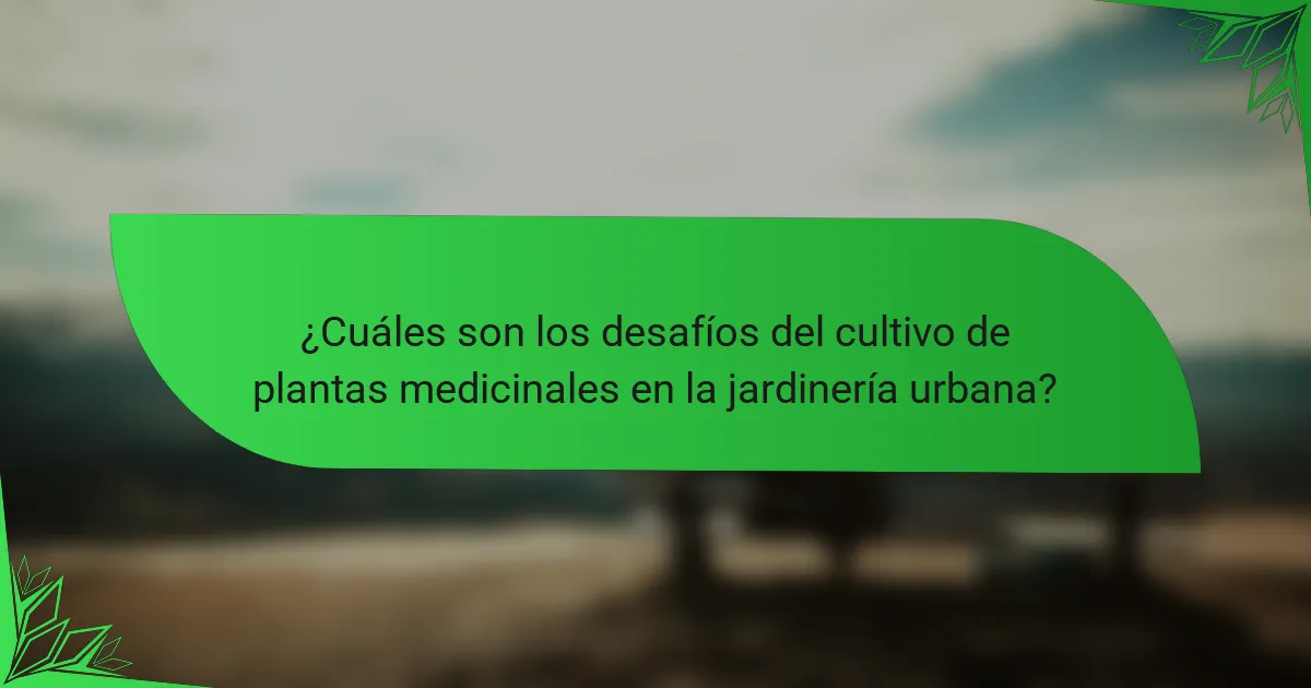 ¿Cuáles son los desafíos del cultivo de plantas medicinales en la jardinería urbana?