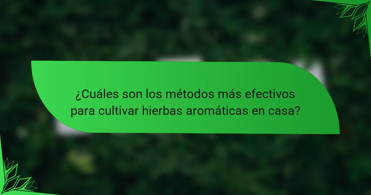 ¿Cuáles son los métodos más efectivos para cultivar hierbas aromáticas en casa?