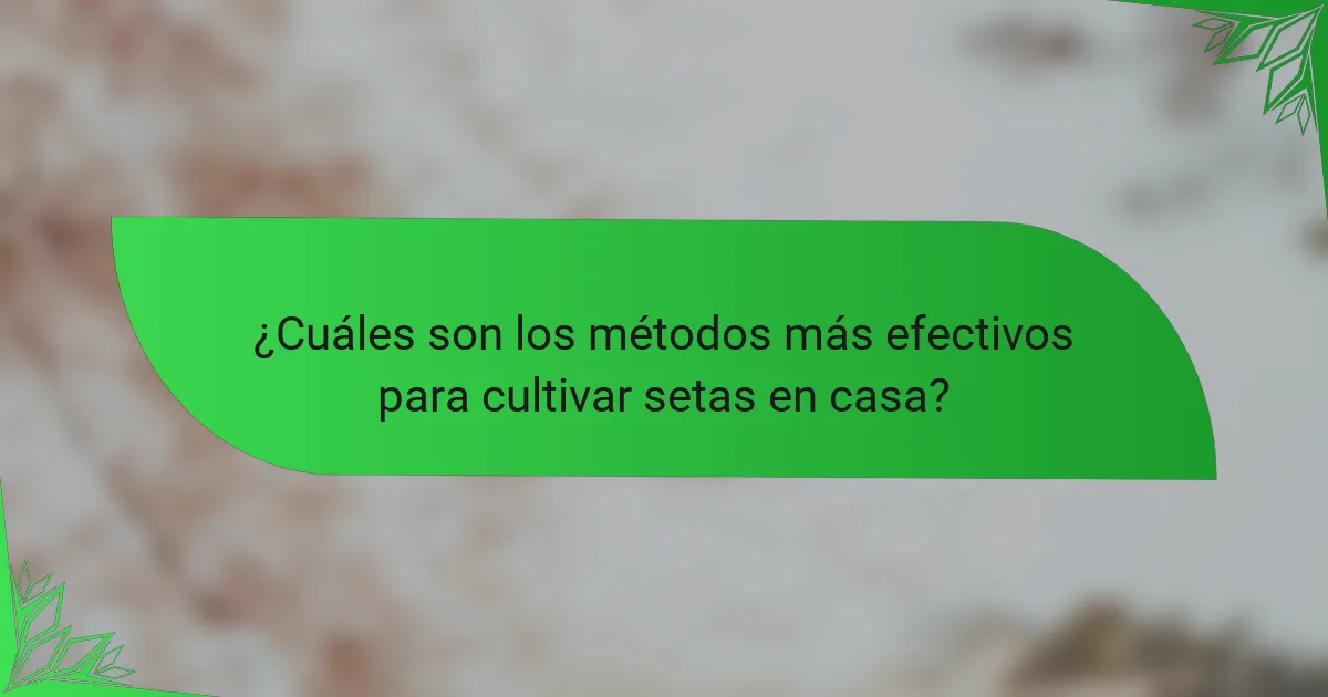 ¿Cuáles son los métodos más efectivos para cultivar setas en casa?