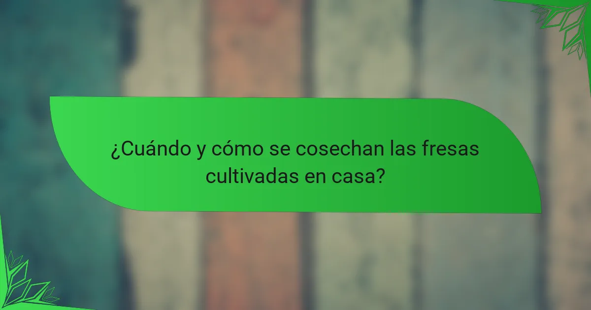 ¿Cuándo y cómo se cosechan las fresas cultivadas en casa?