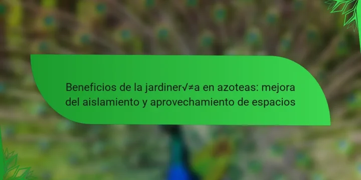 Beneficios de la jardinería en azoteas: mejora del aislamiento y aprovechamiento de espacios