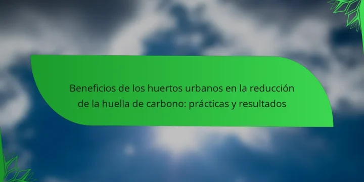 Beneficios de los huertos urbanos en la reducción de la huella de carbono: prácticas y resultados