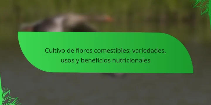 Cultivo de flores comestibles: variedades, usos y beneficios nutricionales