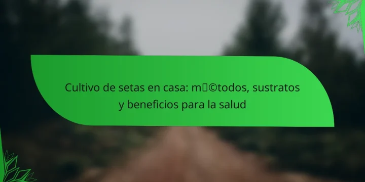 Cultivo de setas en casa: métodos, sustratos y beneficios para la salud