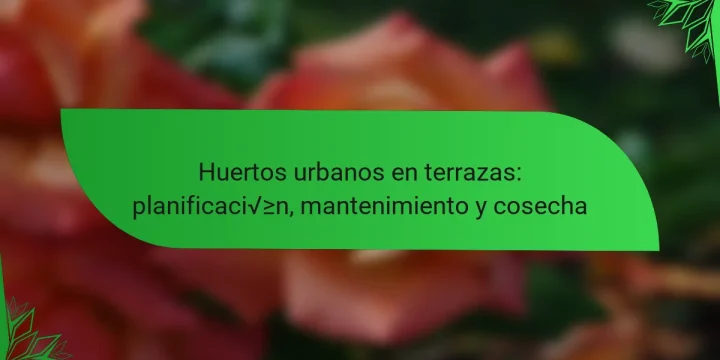 Huertos urbanos en terrazas: planificación, mantenimiento y cosecha