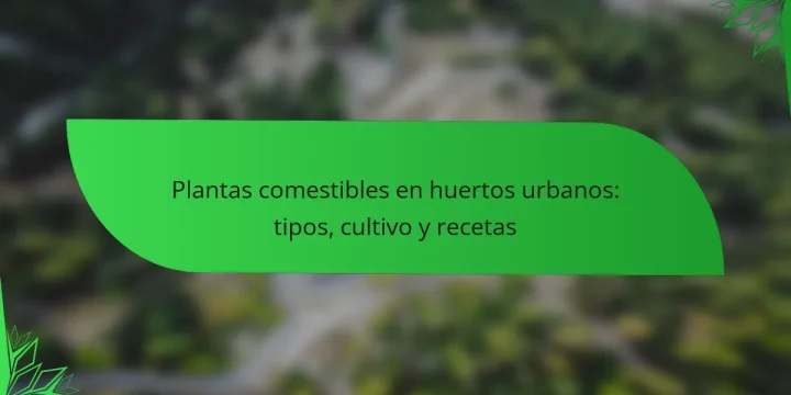 Plantas comestibles en huertos urbanos: tipos, cultivo y recetas