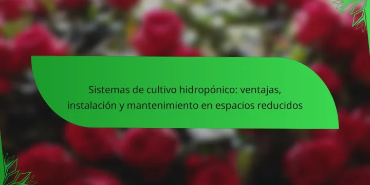 Sistemas de cultivo hidropónico: ventajas, instalación y mantenimiento en espacios reducidos