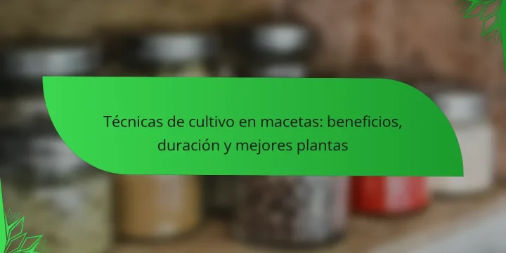 Técnicas de cultivo en macetas: beneficios, duración y mejores plantas
