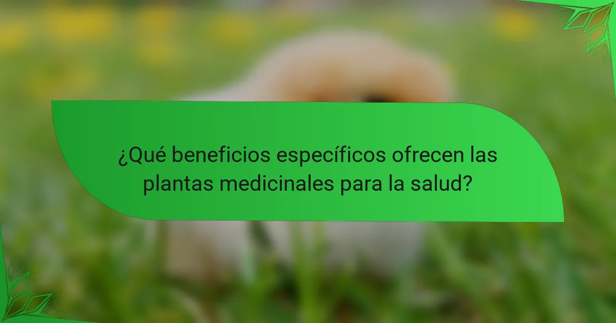 ¿Qué beneficios específicos ofrecen las plantas medicinales para la salud?