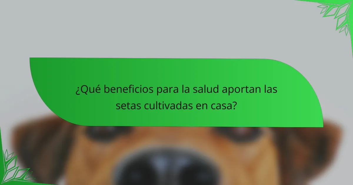 ¿Qué beneficios para la salud aportan las setas cultivadas en casa?