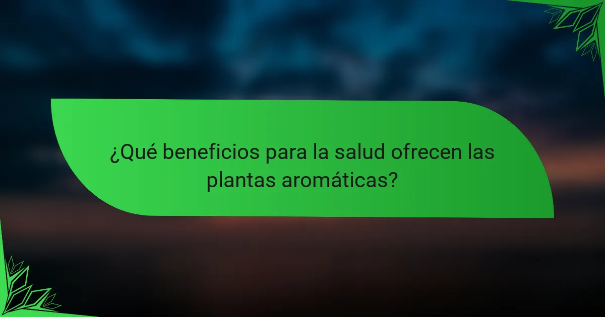 ¿Qué beneficios para la salud ofrecen las plantas aromáticas?