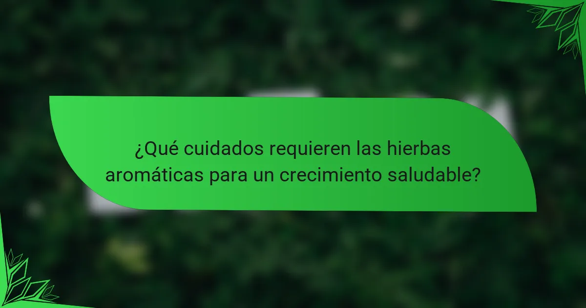 ¿Qué cuidados requieren las hierbas aromáticas para un crecimiento saludable?