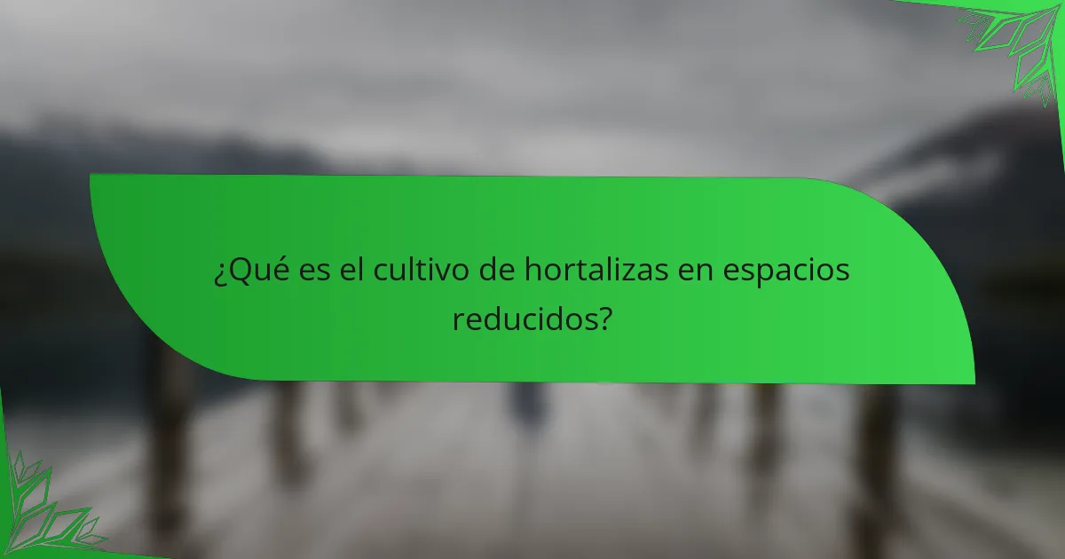 ¿Qué es el cultivo de hortalizas en espacios reducidos?