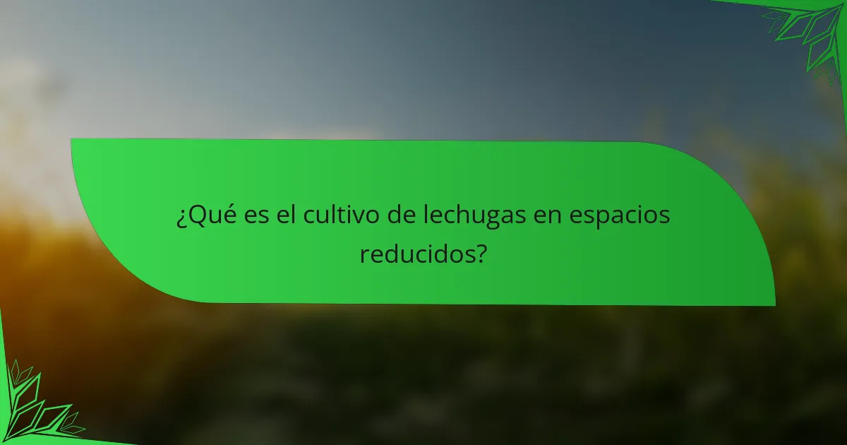 ¿Qué es el cultivo de lechugas en espacios reducidos?