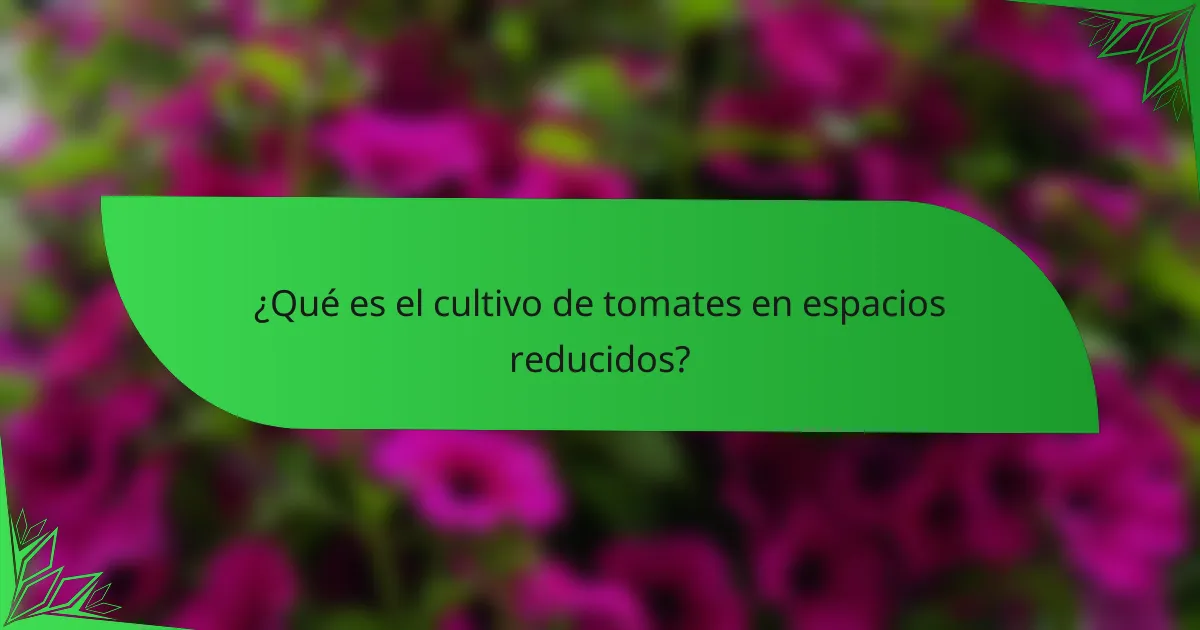 ¿Qué es el cultivo de tomates en espacios reducidos?