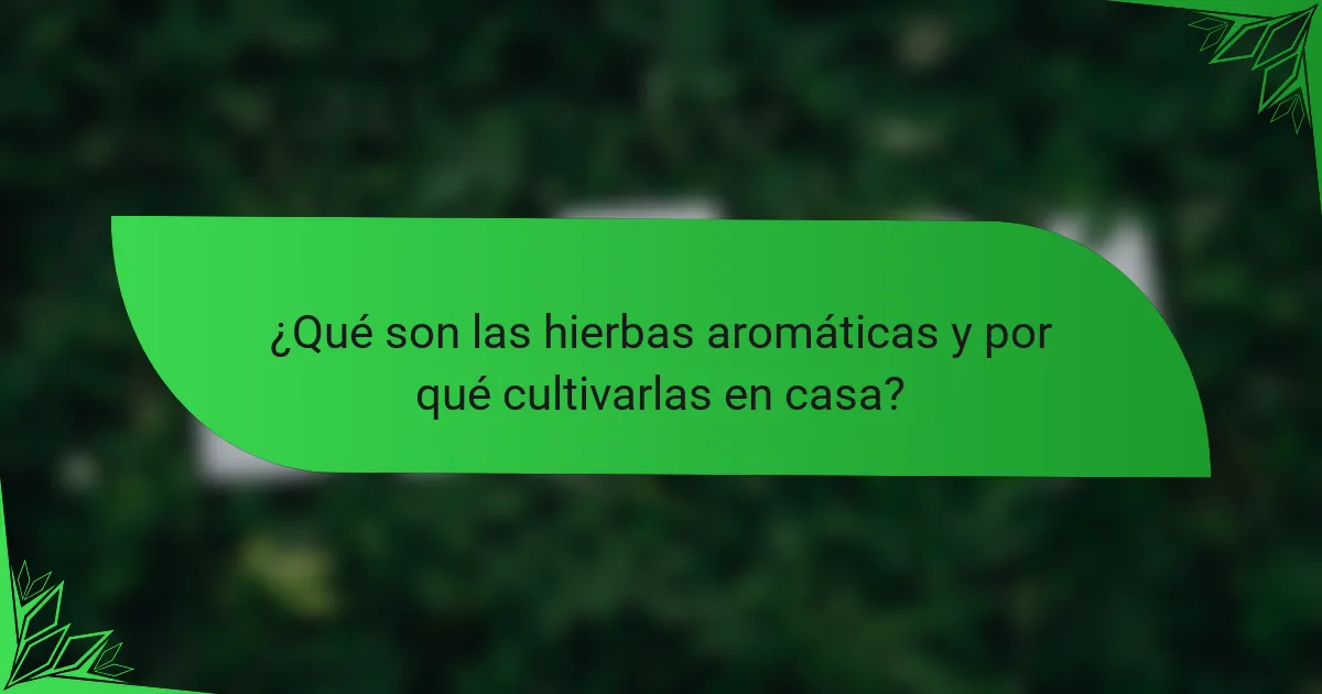 ¿Qué son las hierbas aromáticas y por qué cultivarlas en casa?