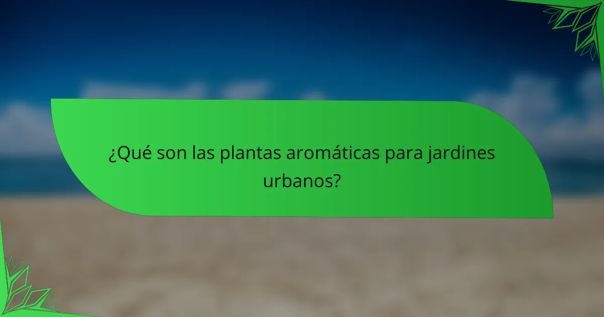 ¿Qué son las plantas aromáticas para jardines urbanos?