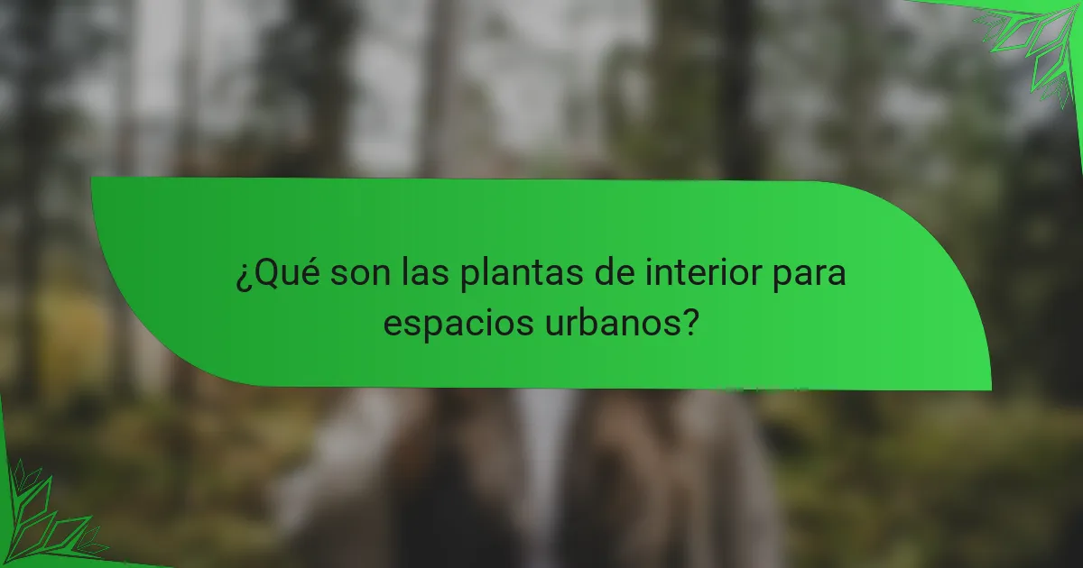 ¿Qué son las plantas de interior para espacios urbanos?