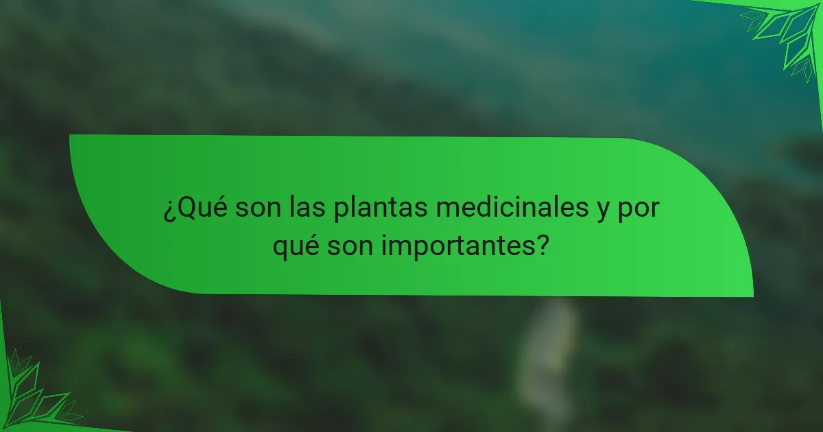 ¿Qué son las plantas medicinales y por qué son importantes?