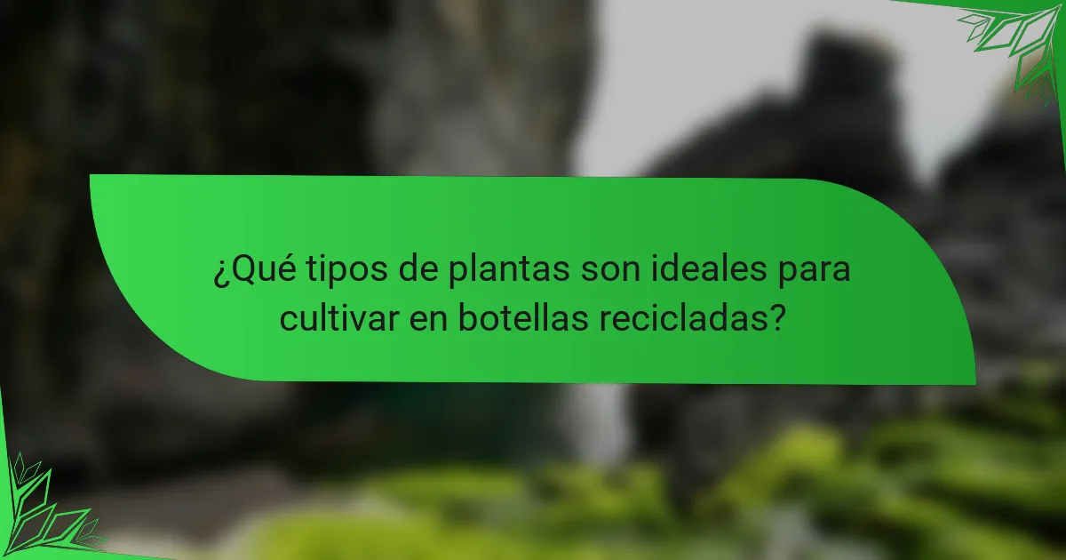 ¿Qué tipos de plantas son ideales para cultivar en botellas recicladas?